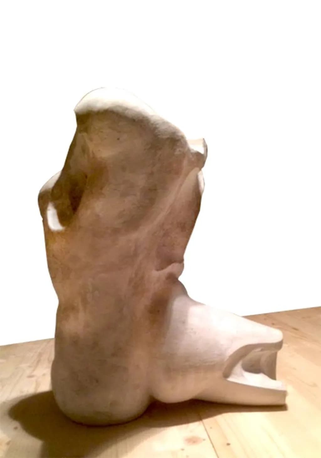 Organic Form