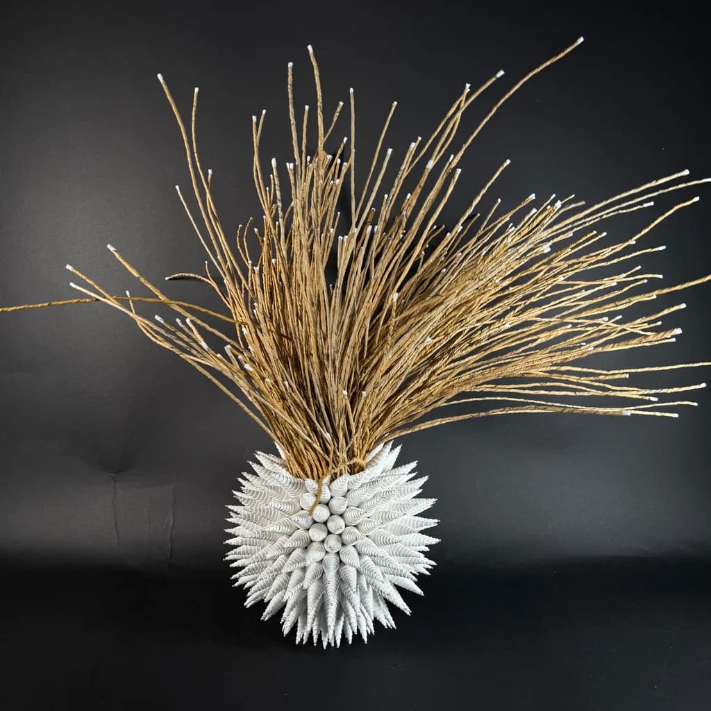 Anemone 12
