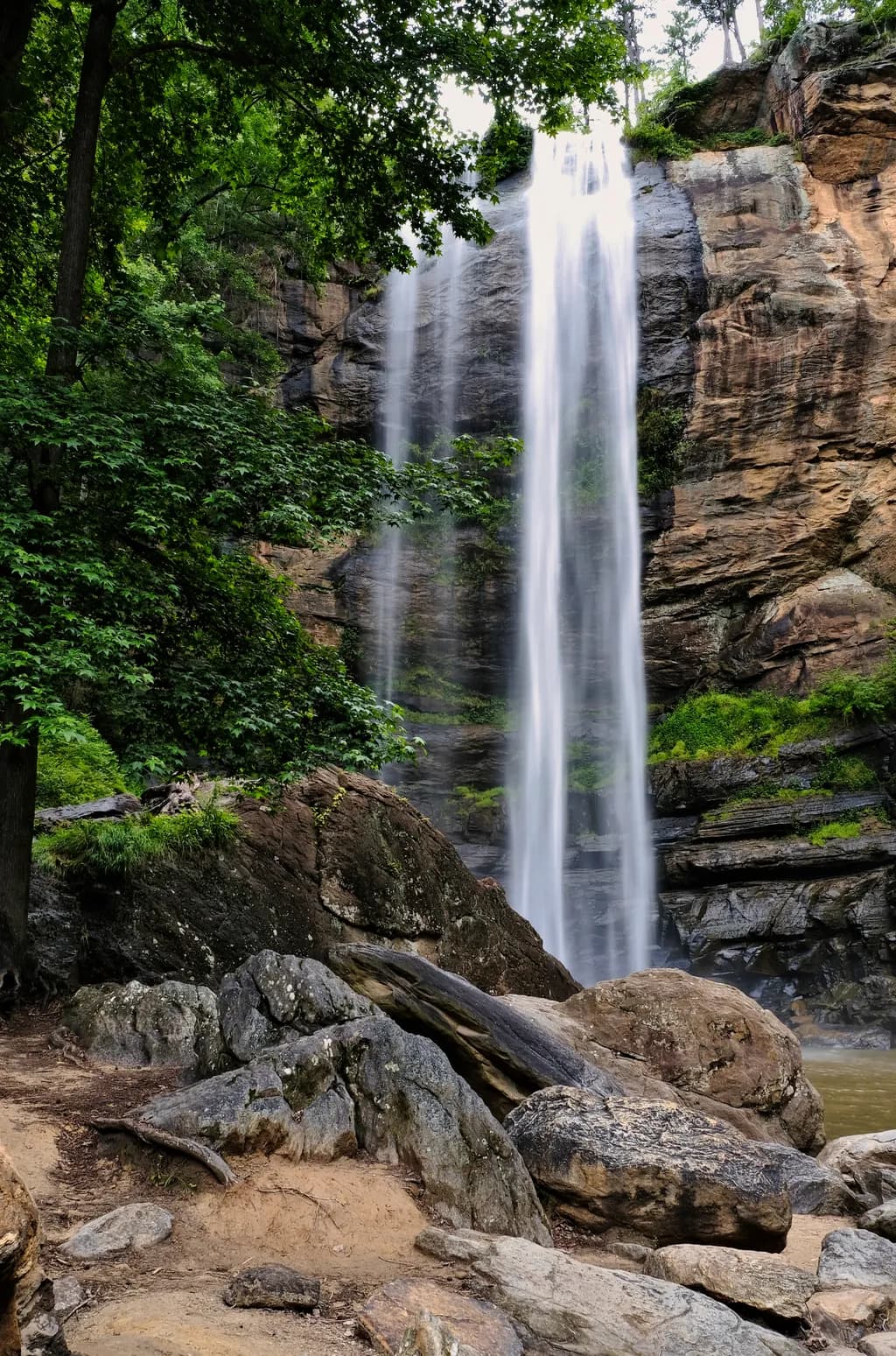 Cliffside Cascade