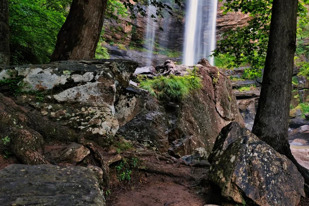 Forest Cascade