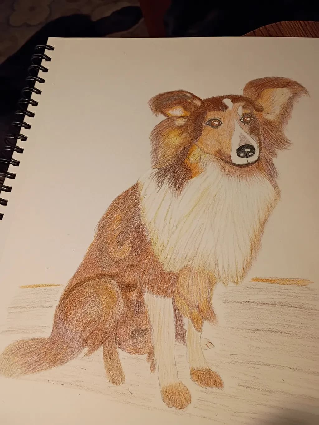 Watchful Companion