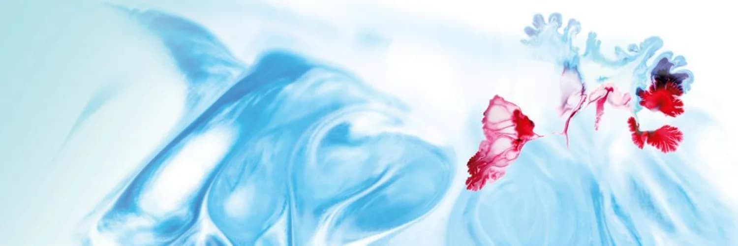 Profilbanner