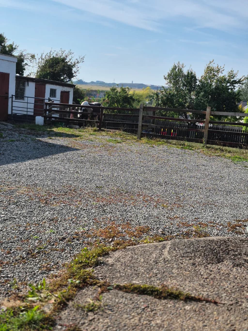 Country Horse Paddock
