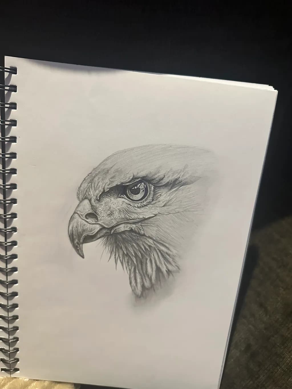 Eagle Profile