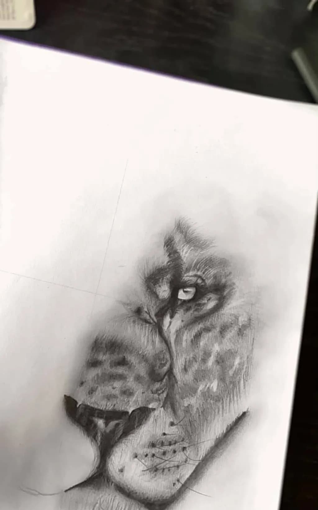 Leopard Gaze
