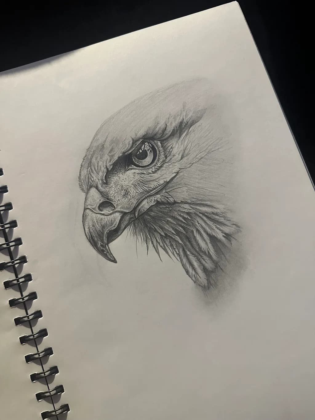 Eagle Gaze