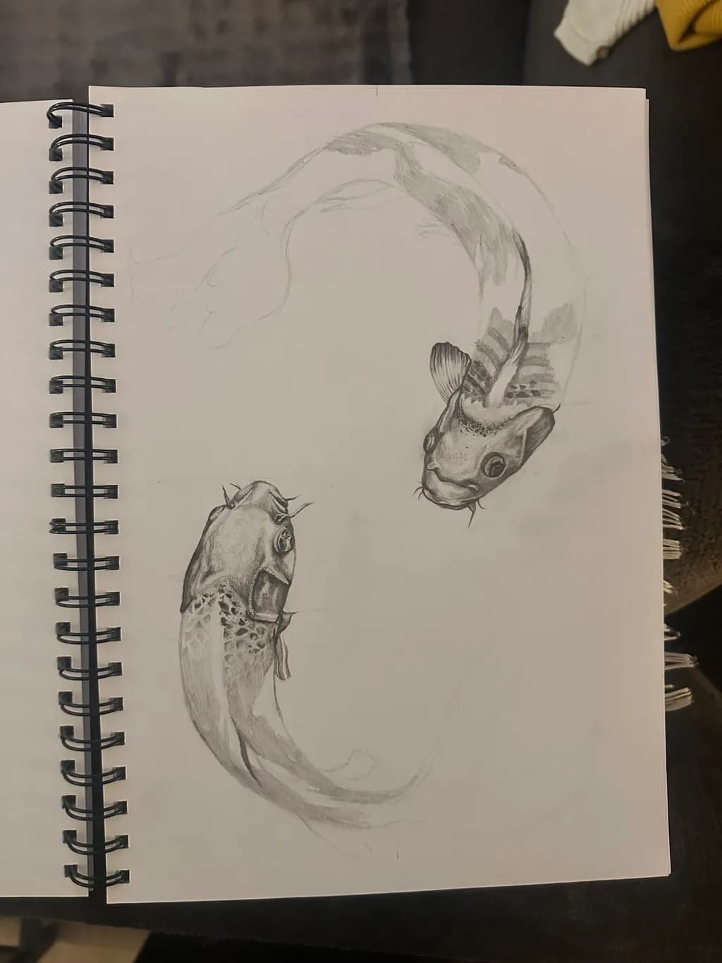Koi Harmony