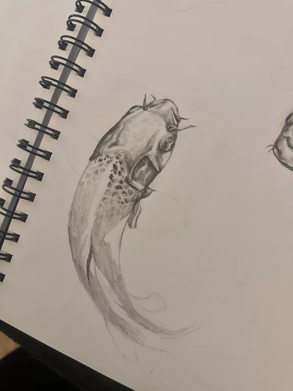 Koi Study