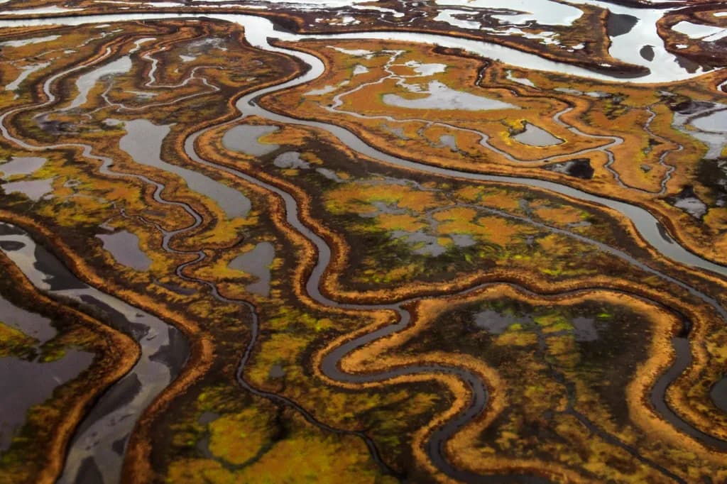 Copper River Delta Curves