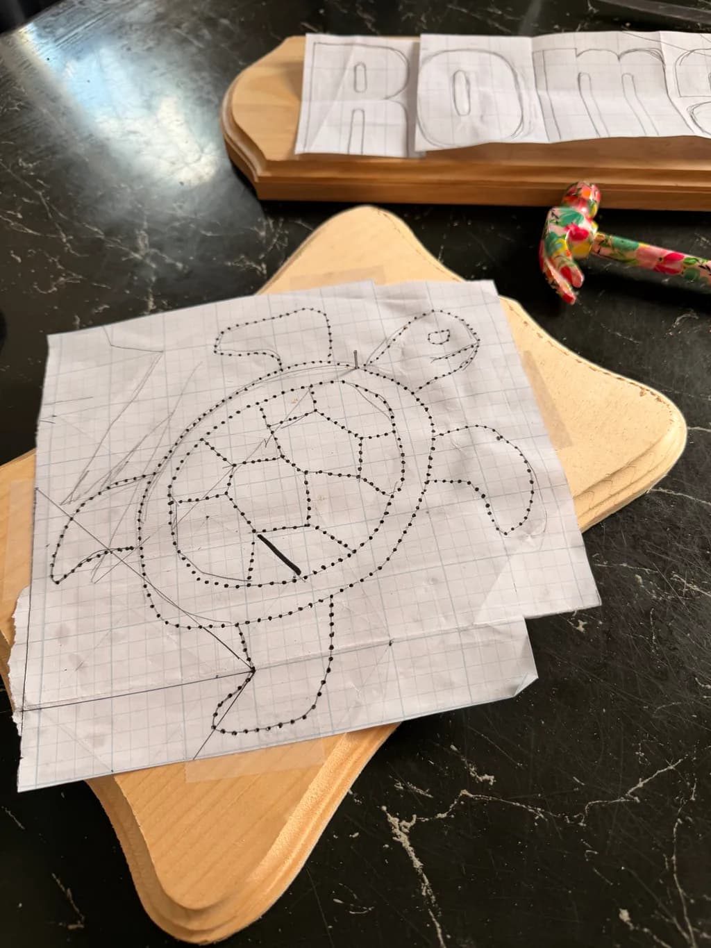 Turtle Outline Design