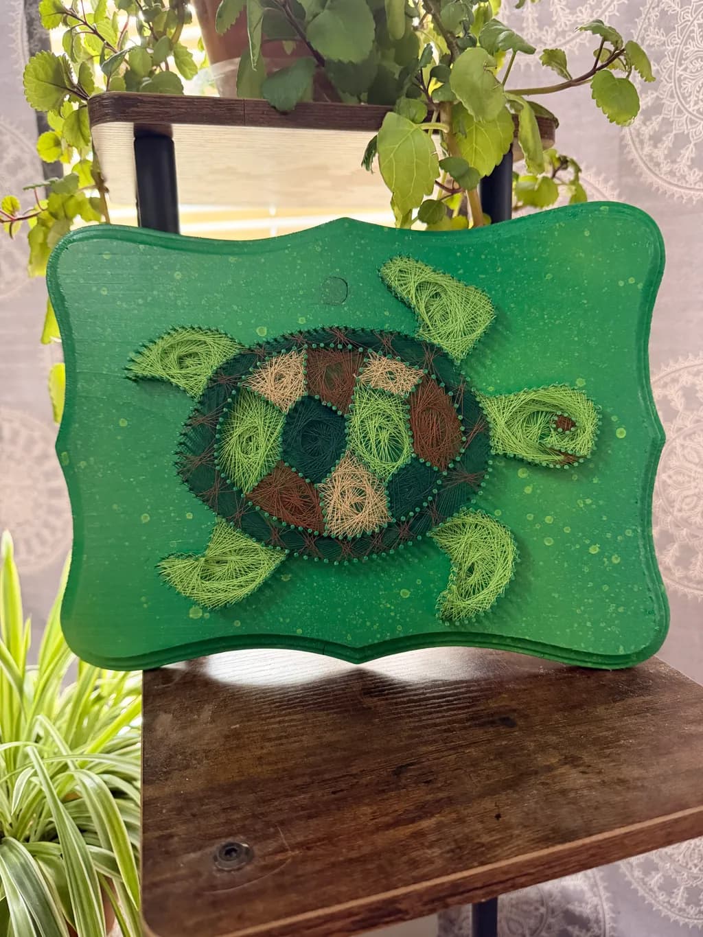 Geometric Turtle Shell