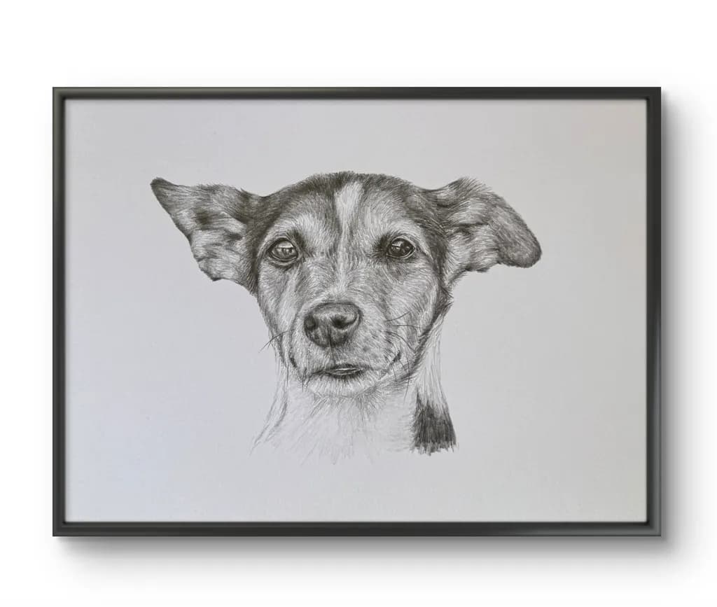 Watchful Canine