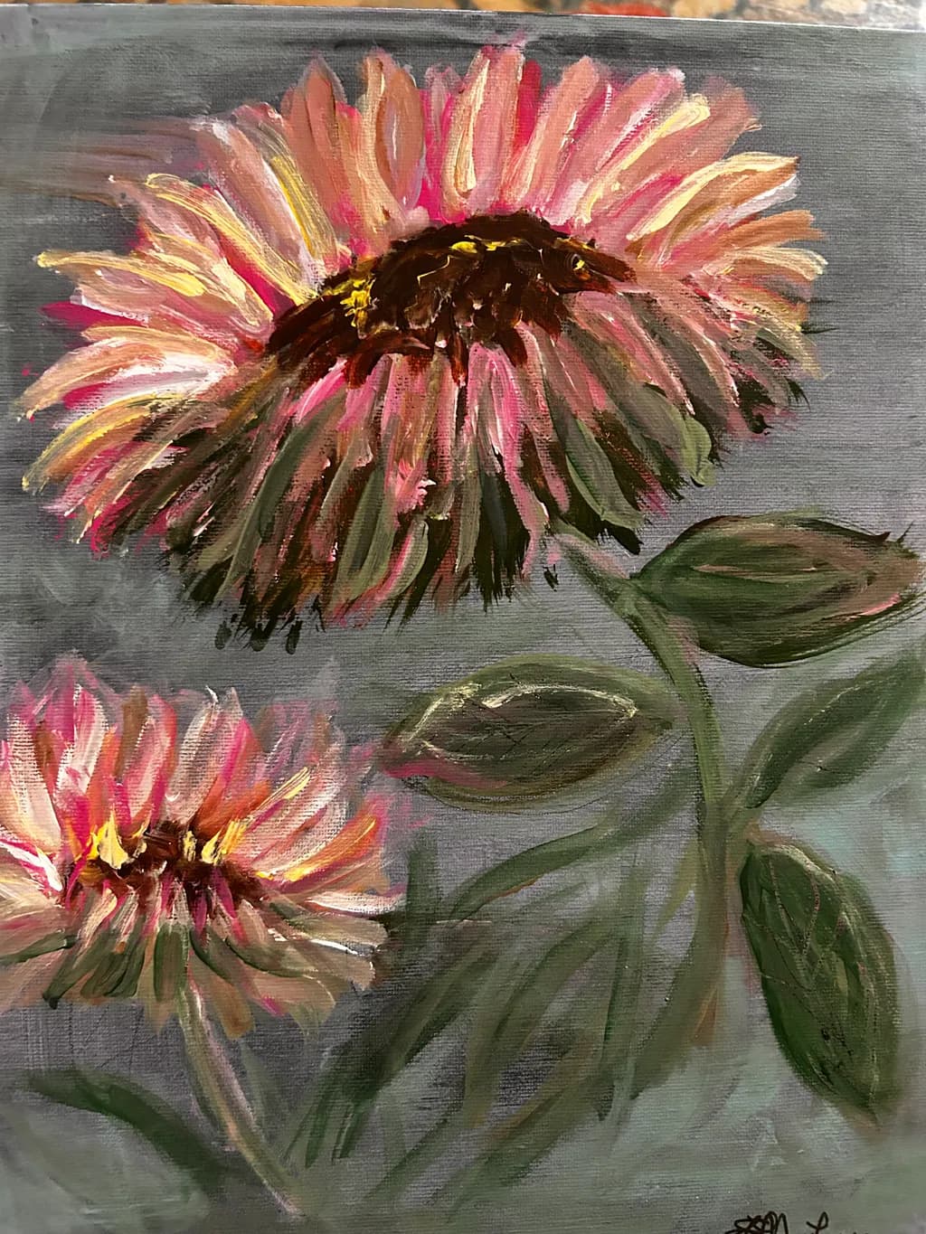 Blushing Blossoms
