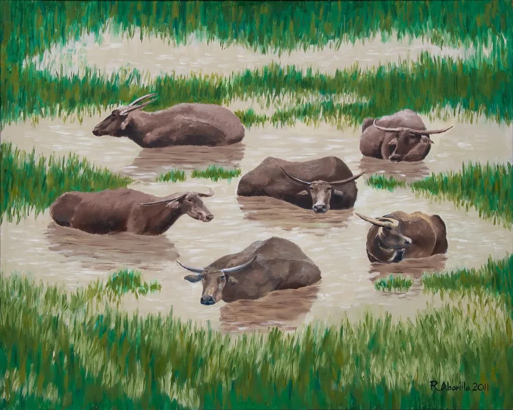 Carabaos on Water