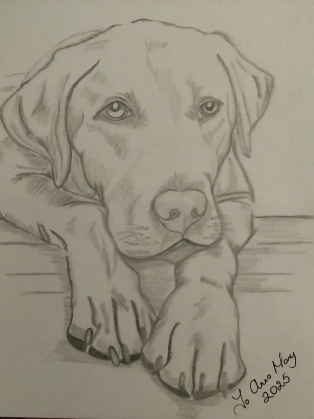 Pensive Pup