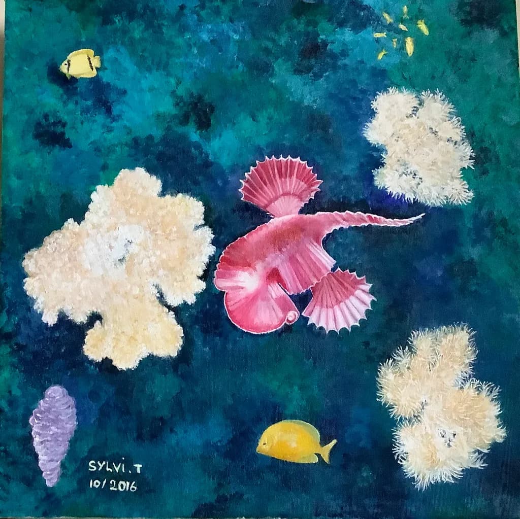 Coral Reef Life