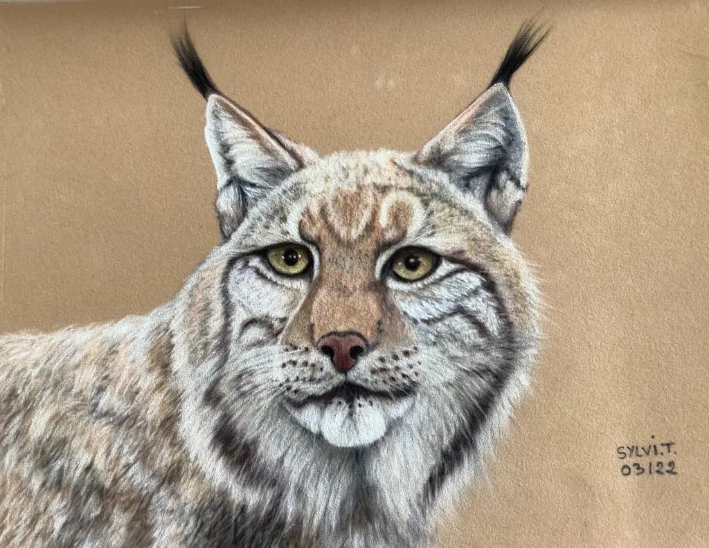 Lynx Gaze