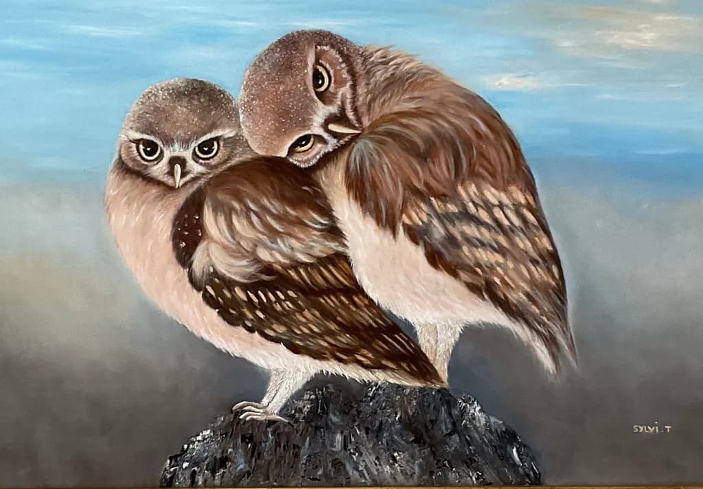 Owls on Rock