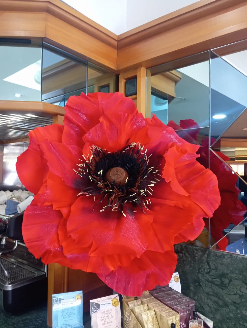 Giant Red Poppy