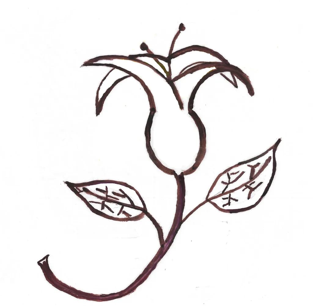 Floral Outline
