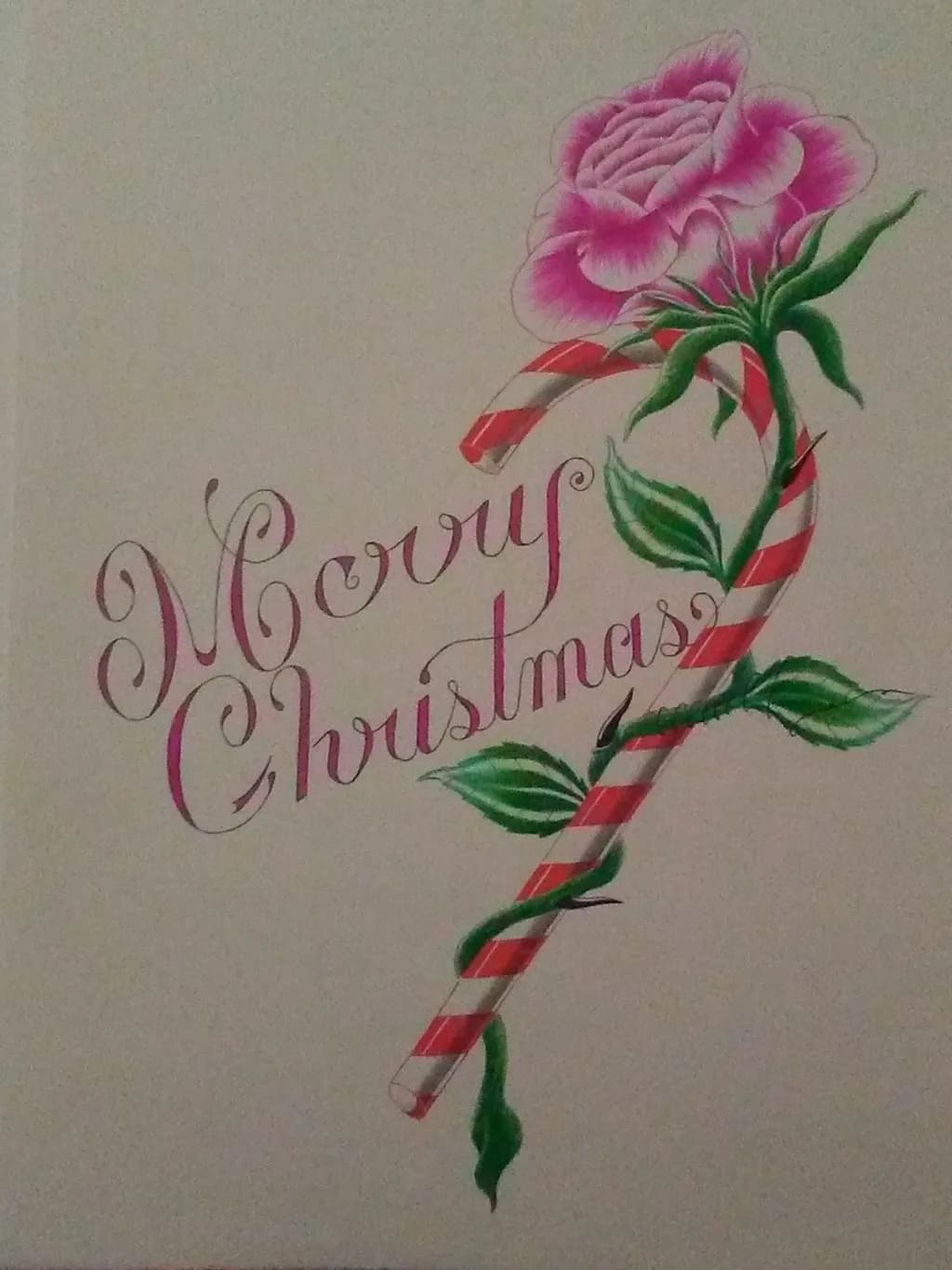 Candy Cane Rose