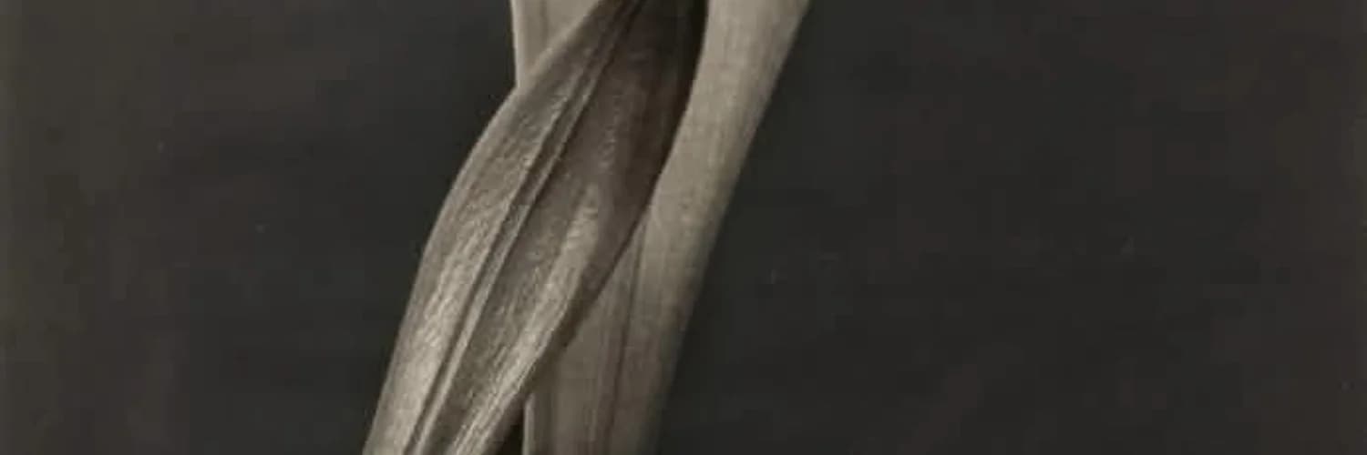 Profilbanner