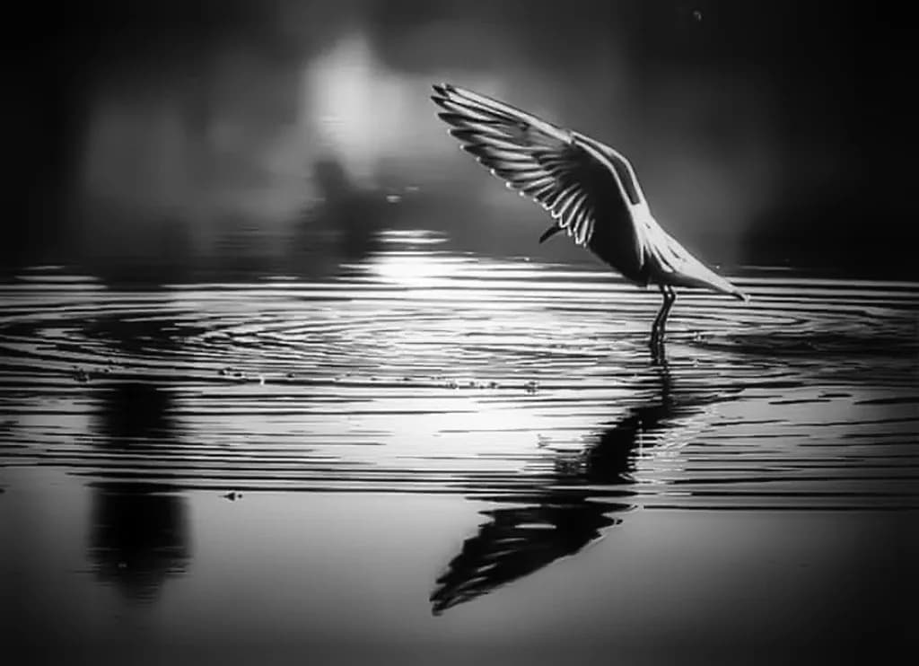 Rippled Flight