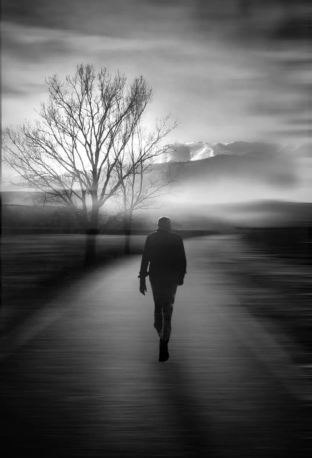 Solitude Walk