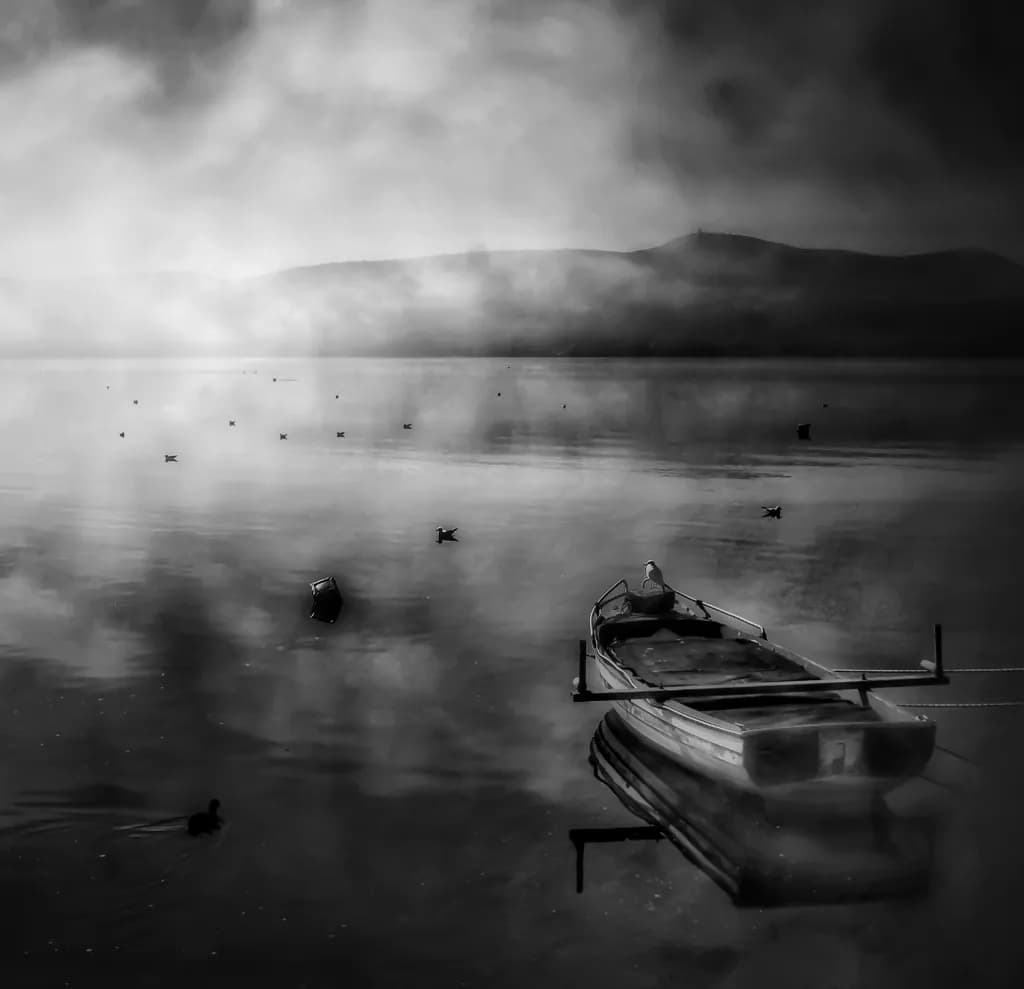 Misty Solitude