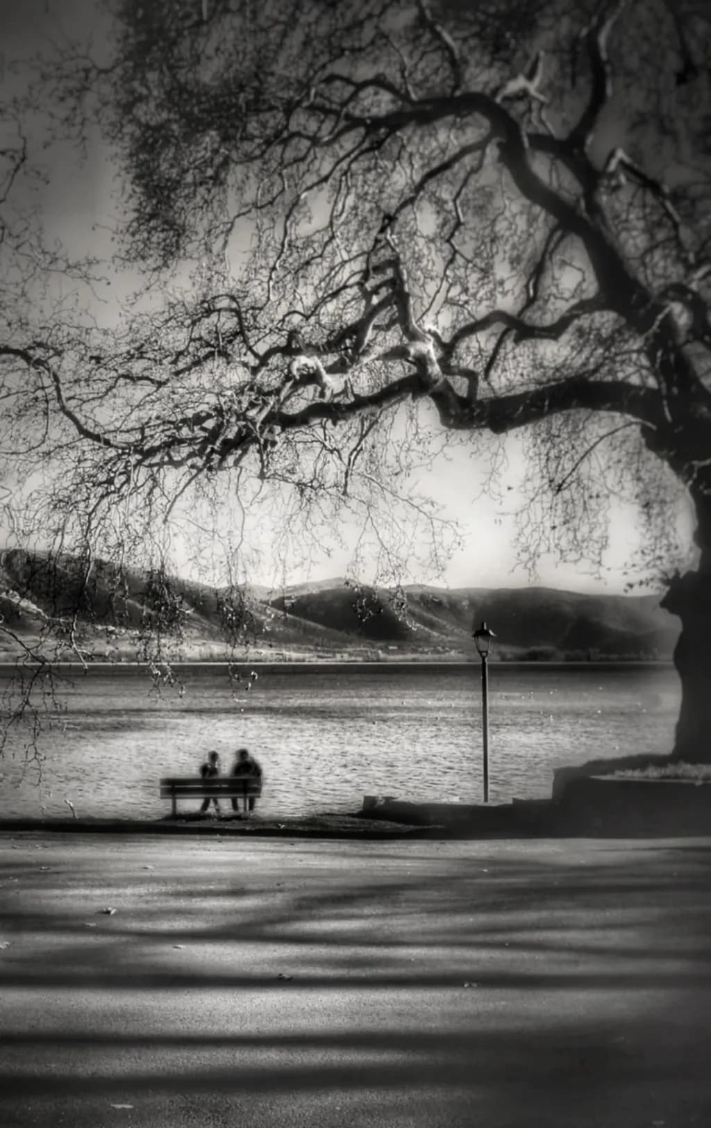 Lakeside Reverie