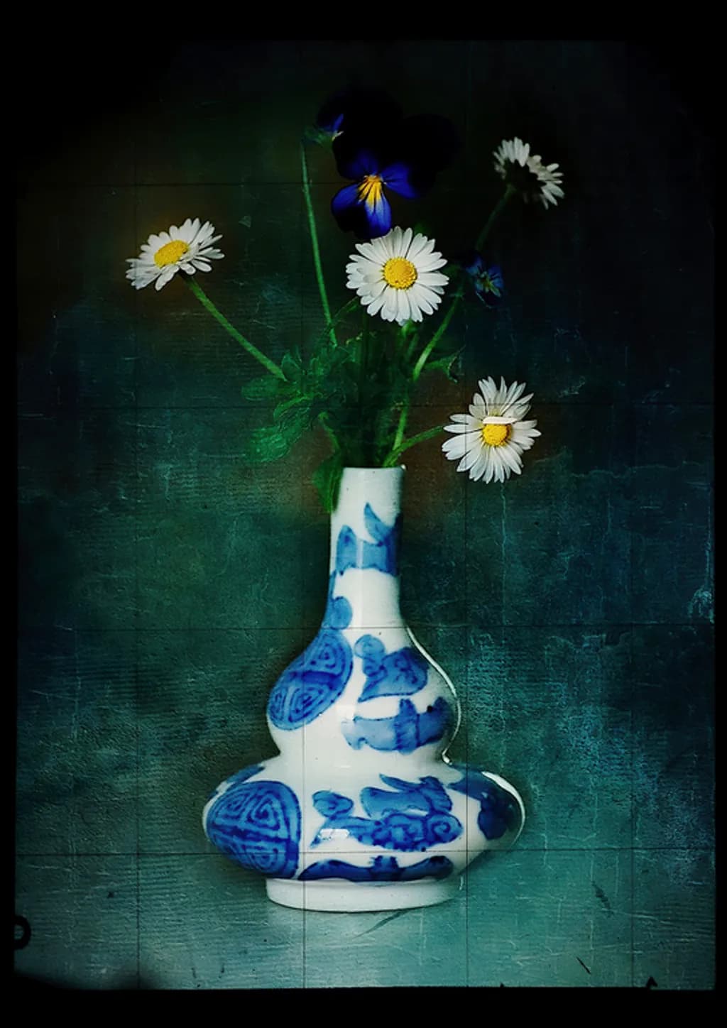 Blue and White Blossoms