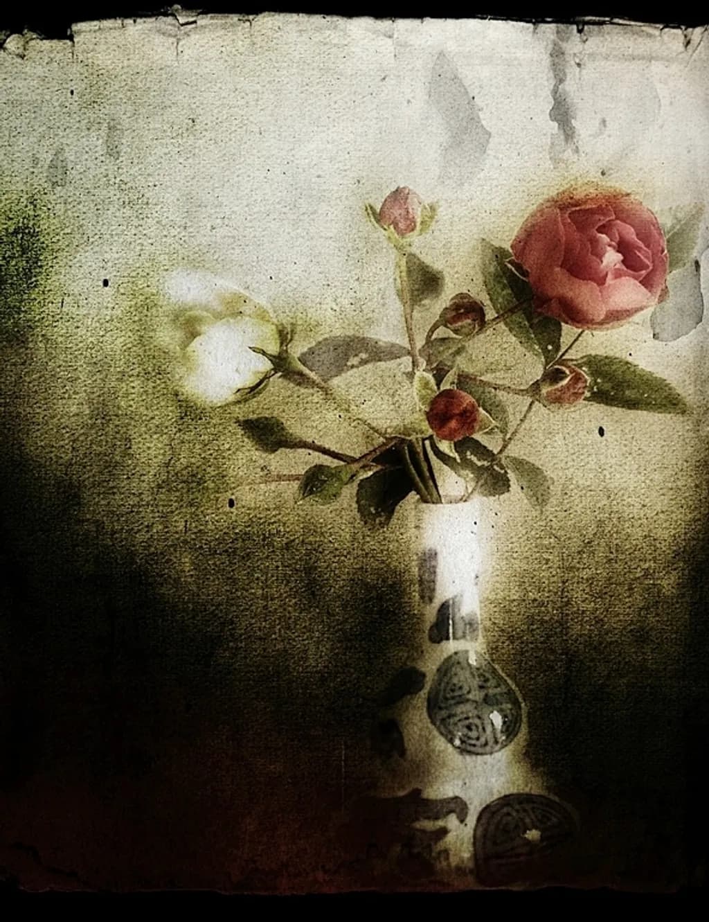 Rose21