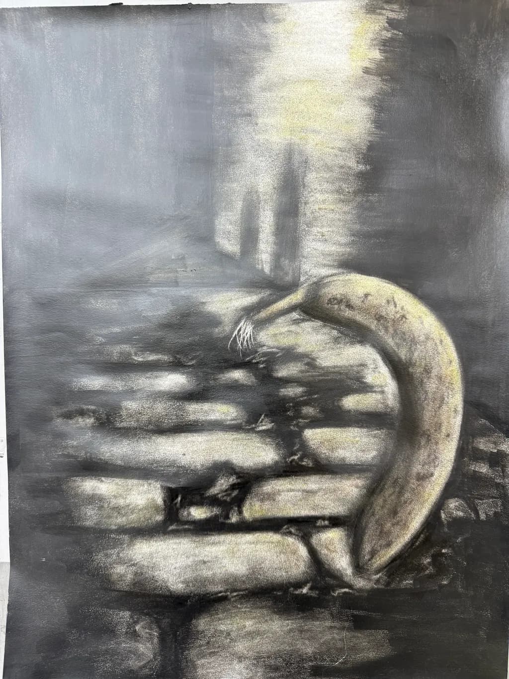 Shadowed Banana Noir