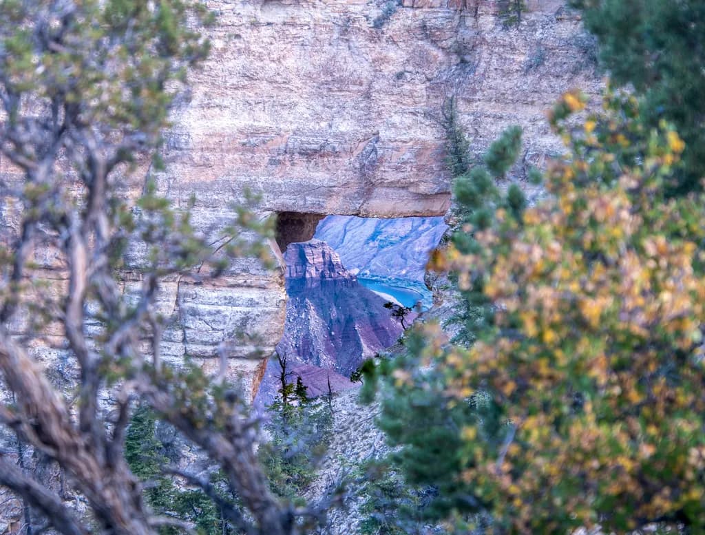 Angels Window