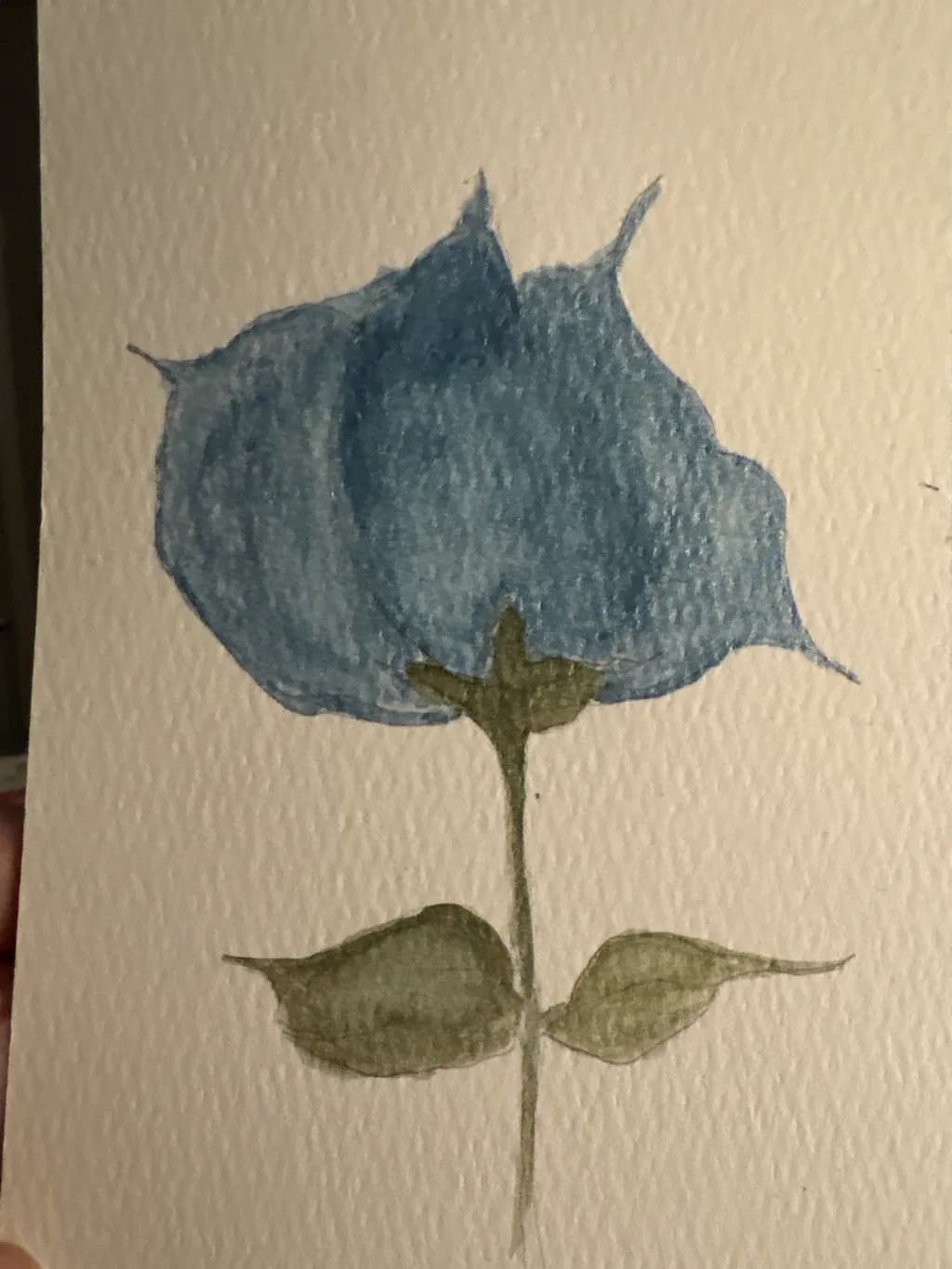 Blue Rose Study