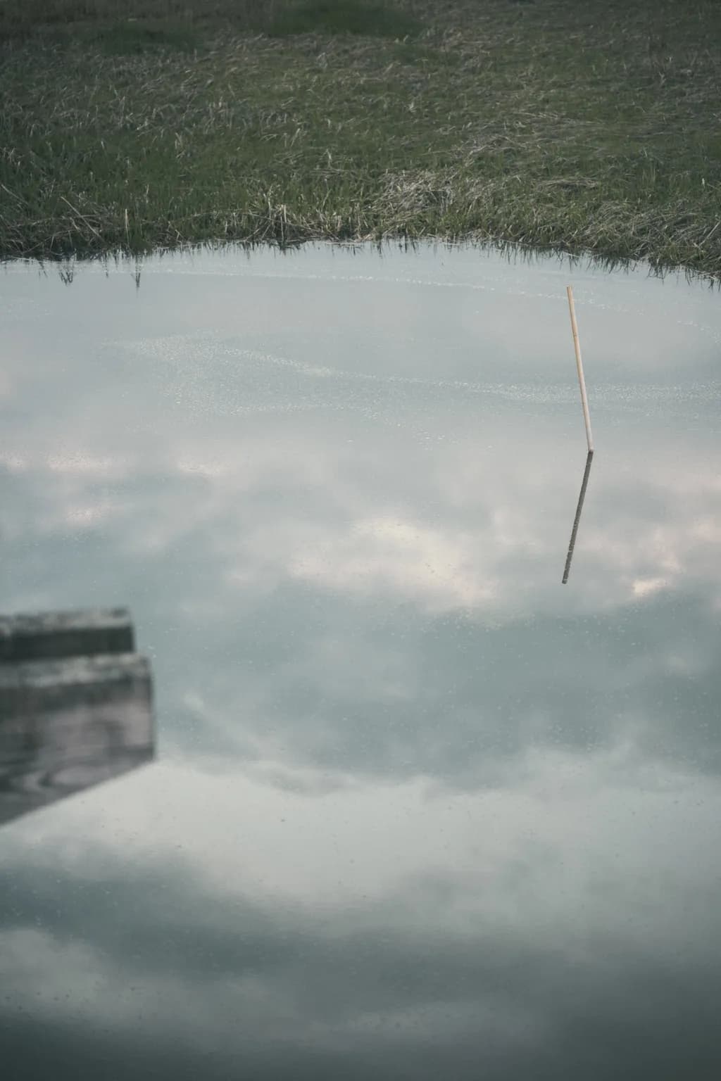 Silent Reflection