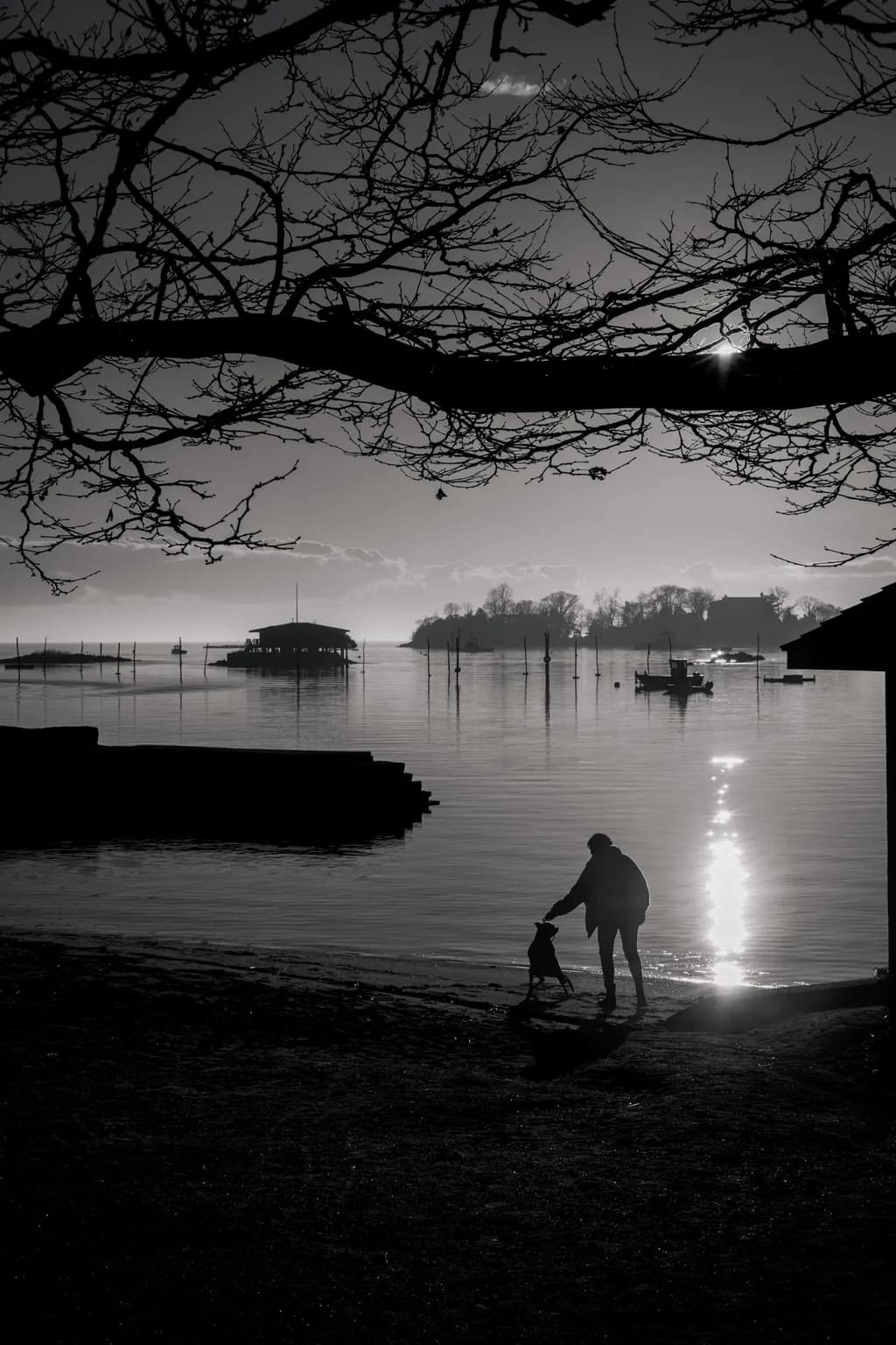 Silent Shoreplay
