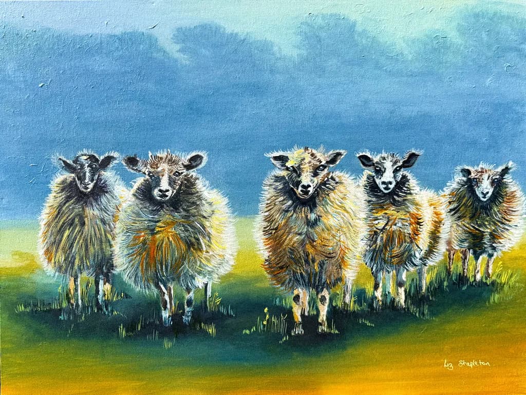 Woolly Morning