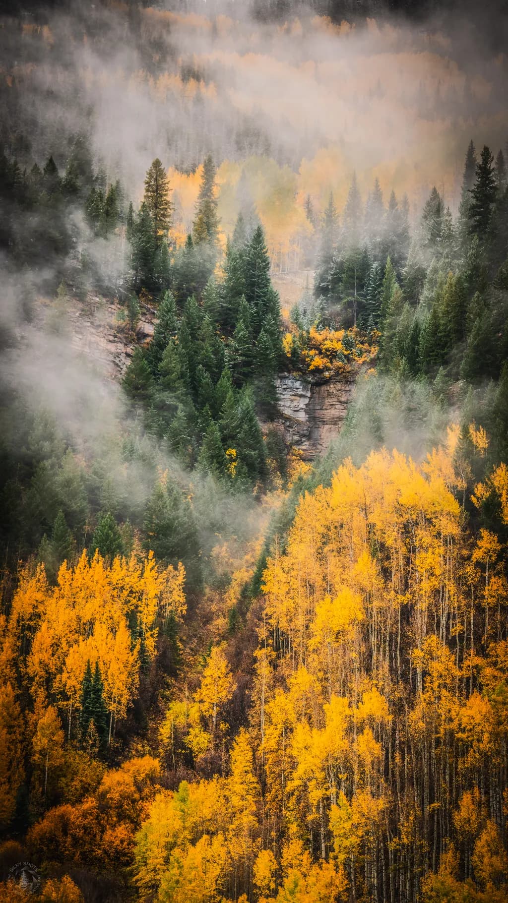 Autumn Veil