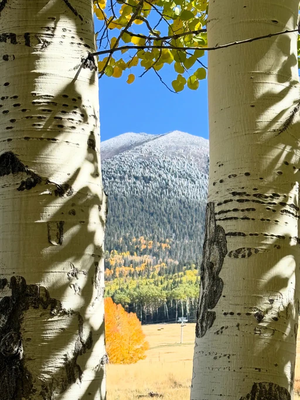 A Window to the Peaks