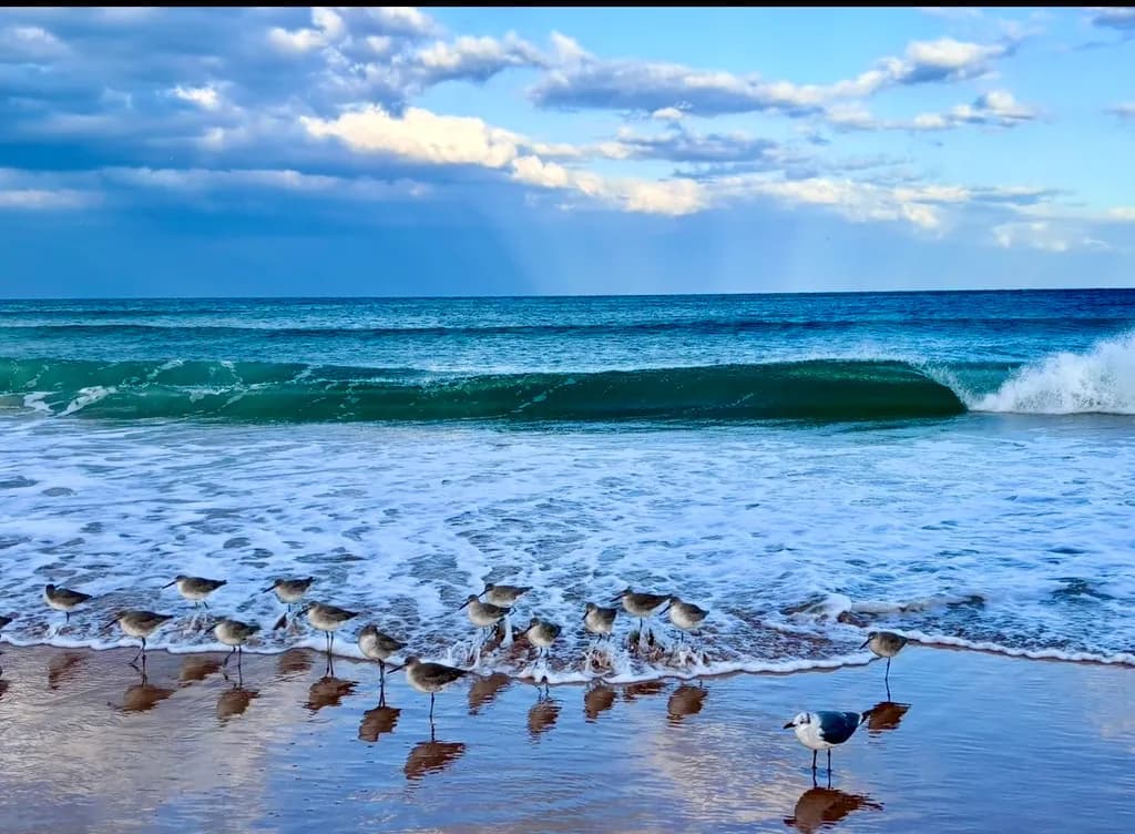 Shoreline Gathering