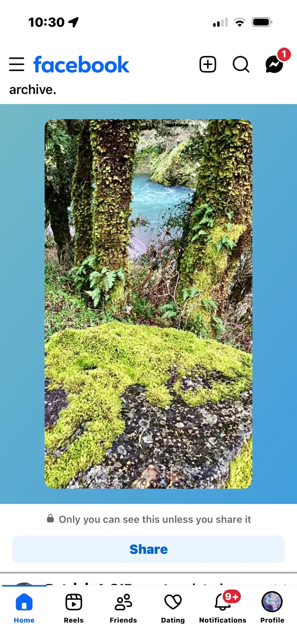 Mossy Grove View