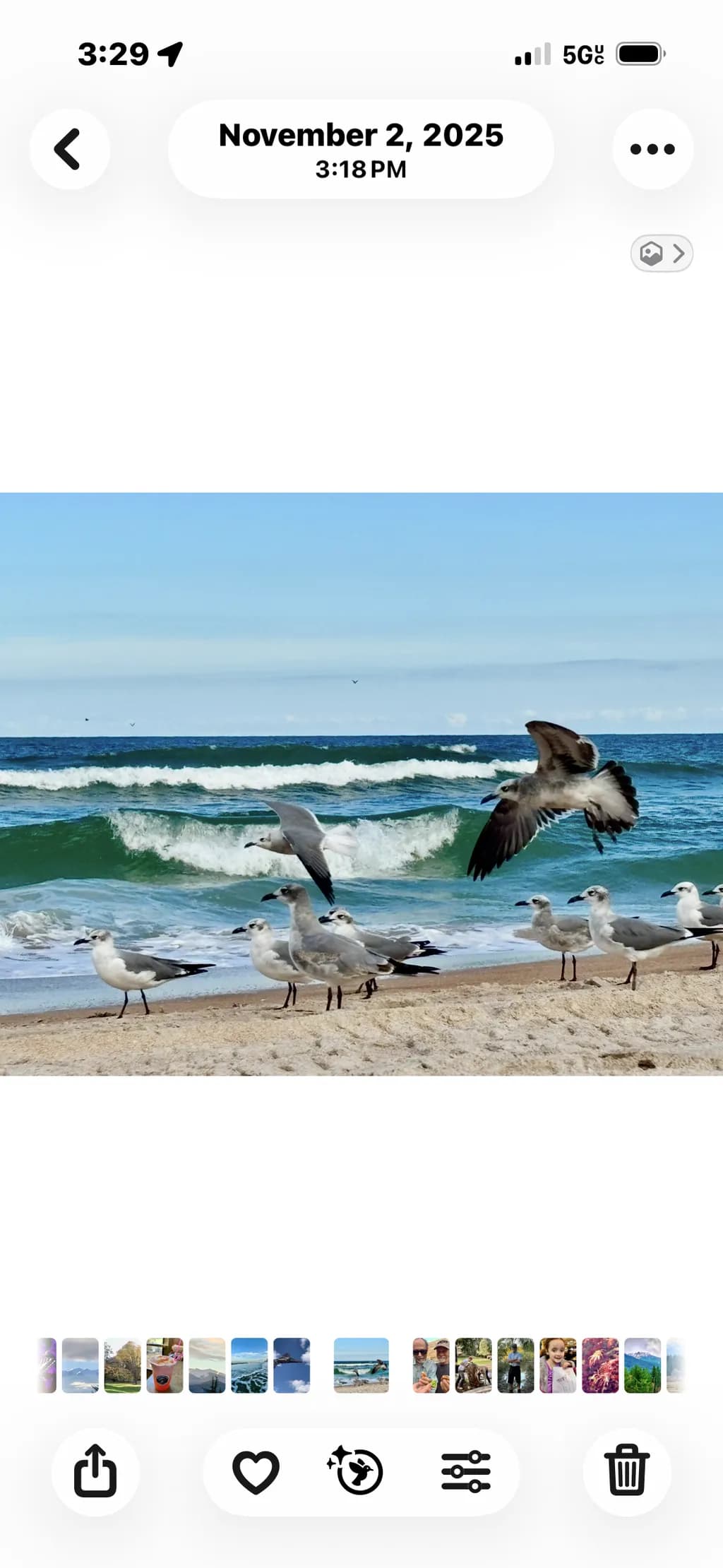 Shoreline Gathering