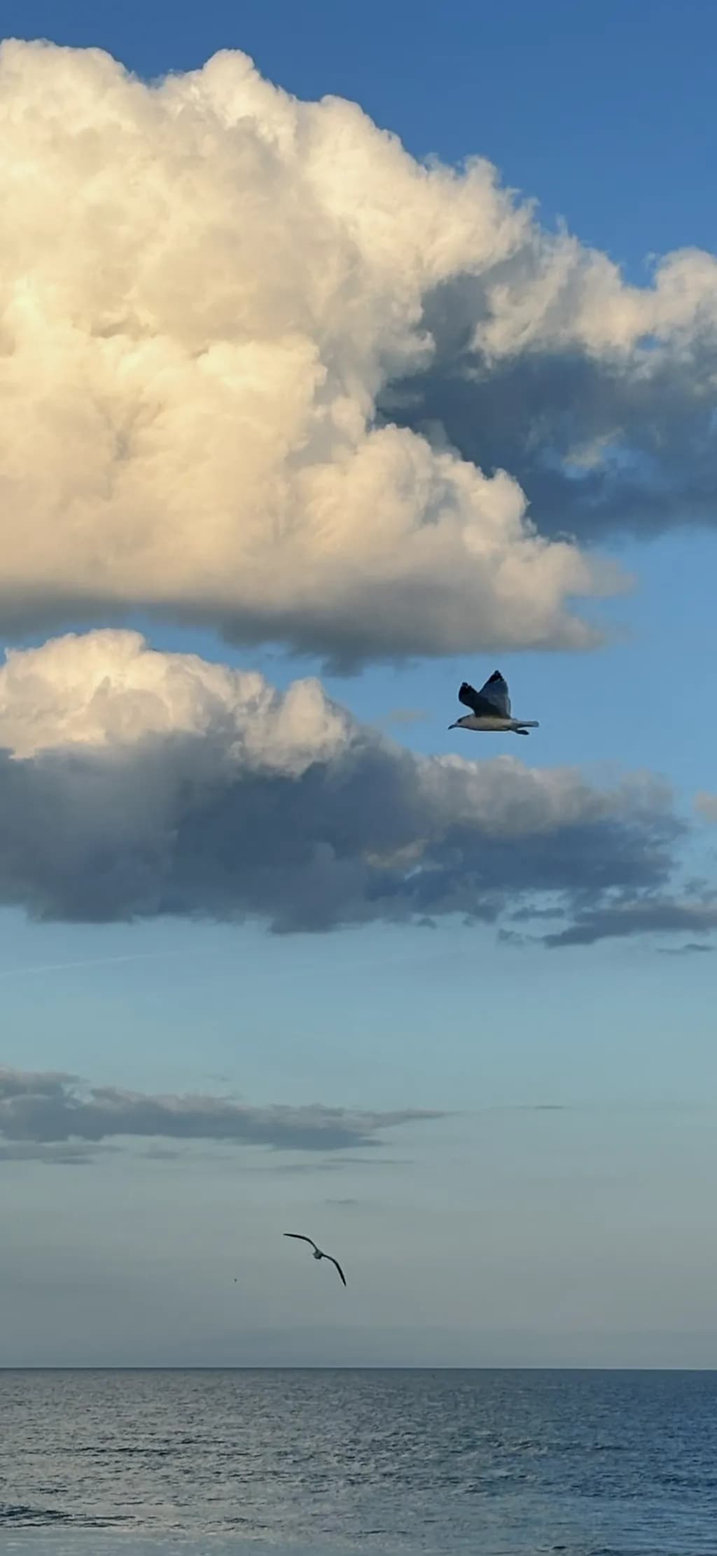 Cloudbound Flight