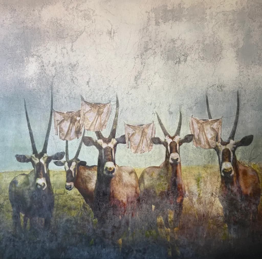 Antelope Curtain Line