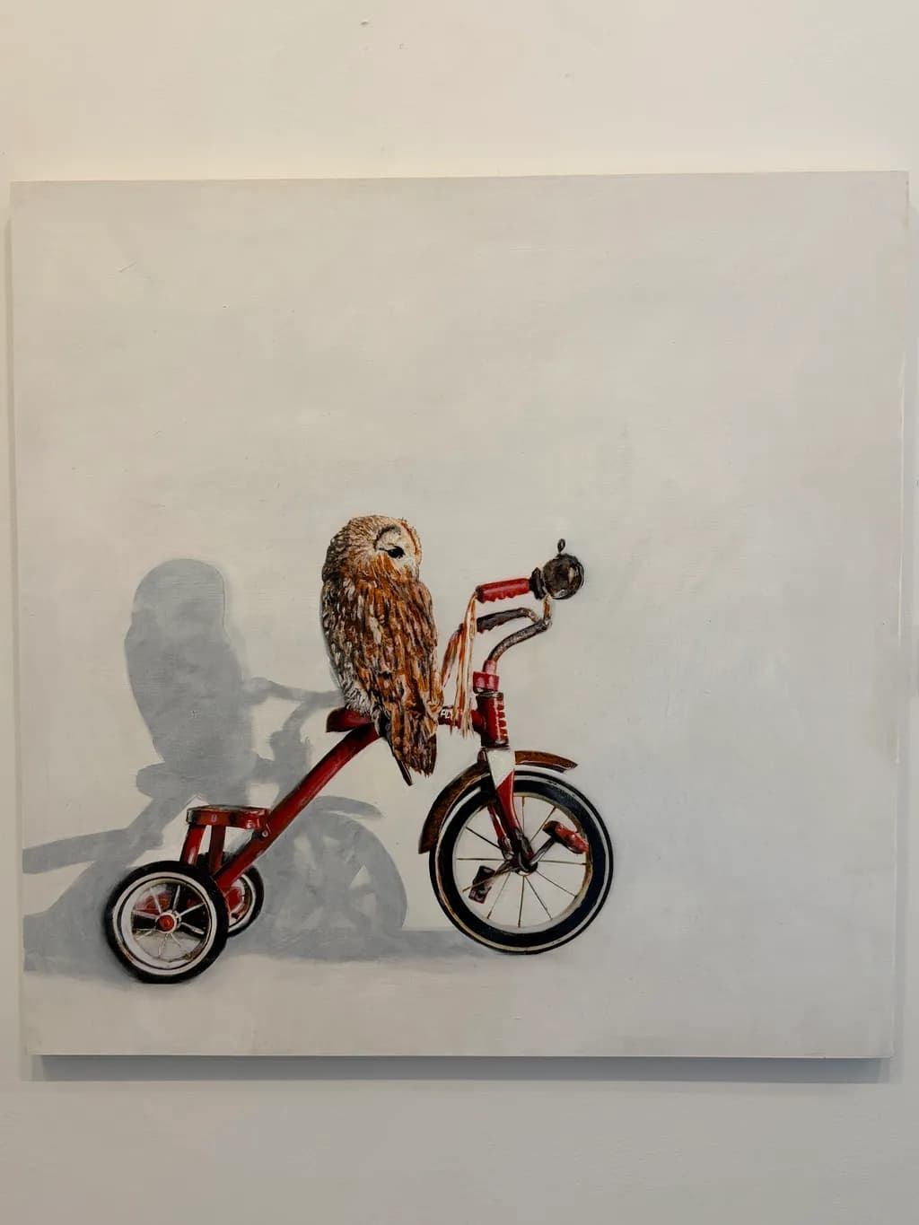 Owl on Tricycle