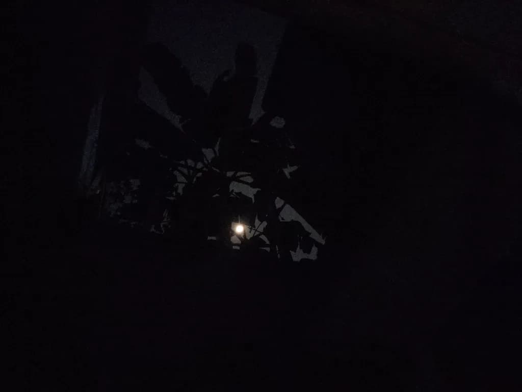 Moonlit Silhouette