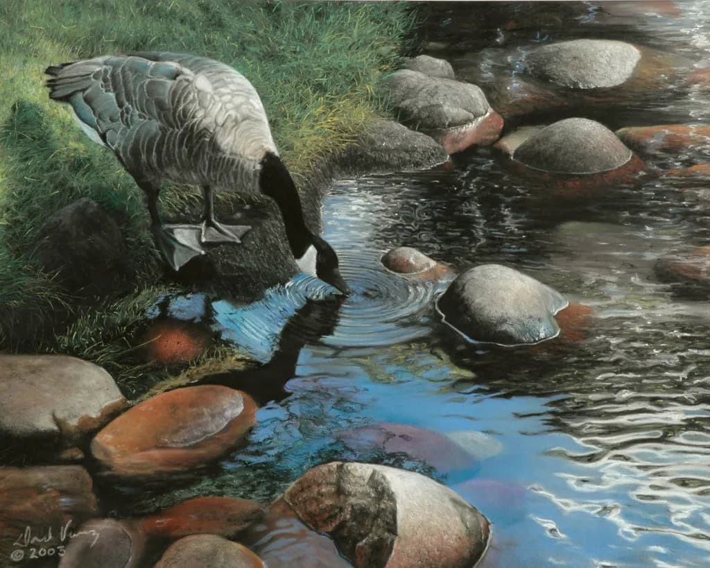 Streamside Reflection