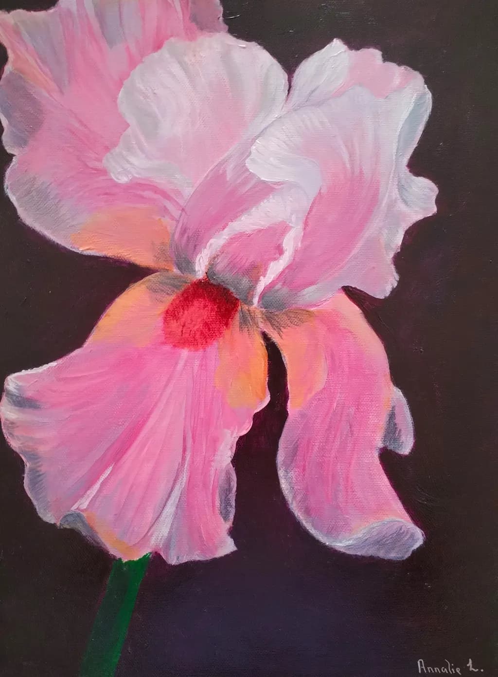Bloom