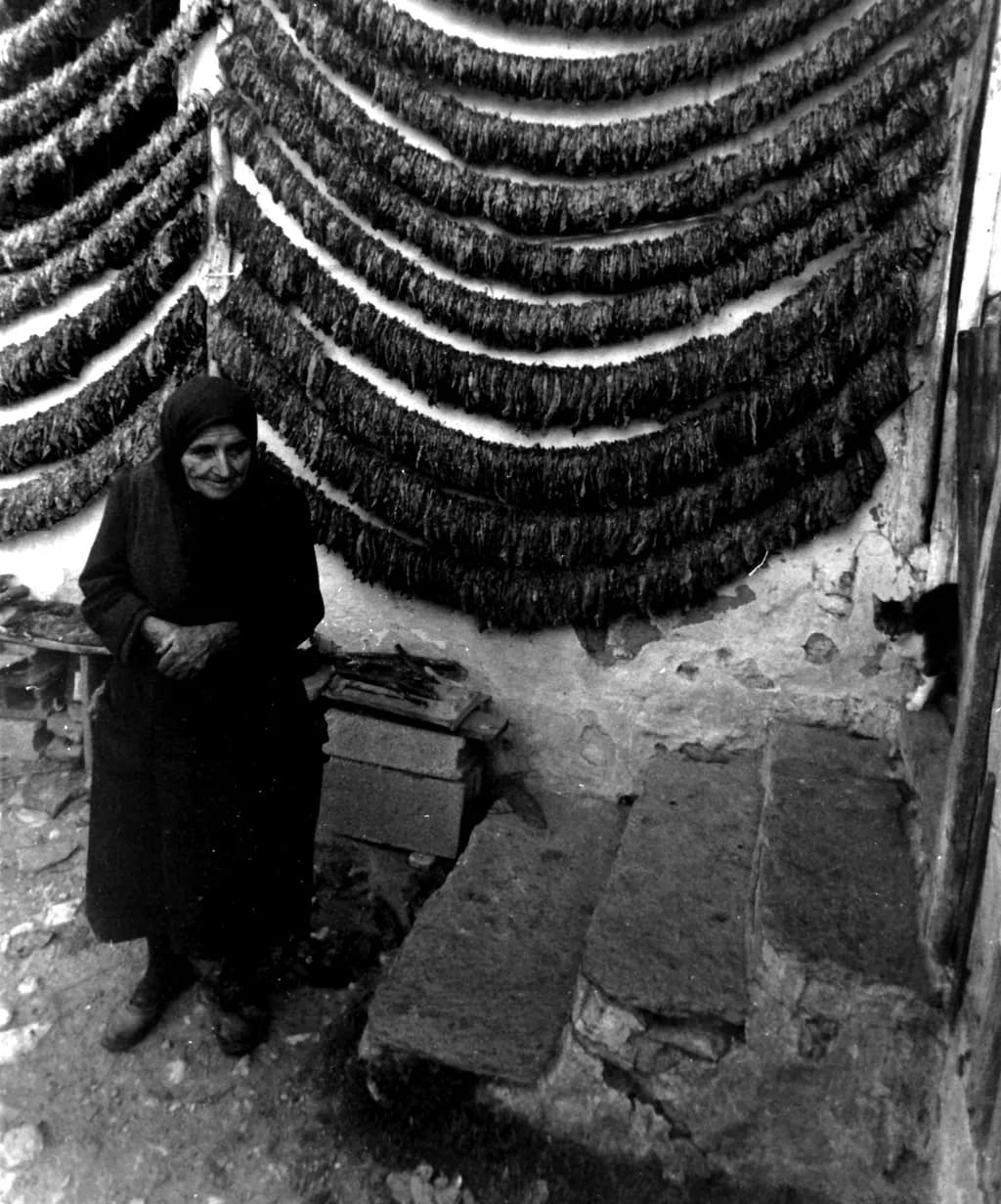Denovi Woman